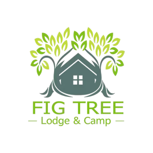 Fig Tree Lodge & Camp